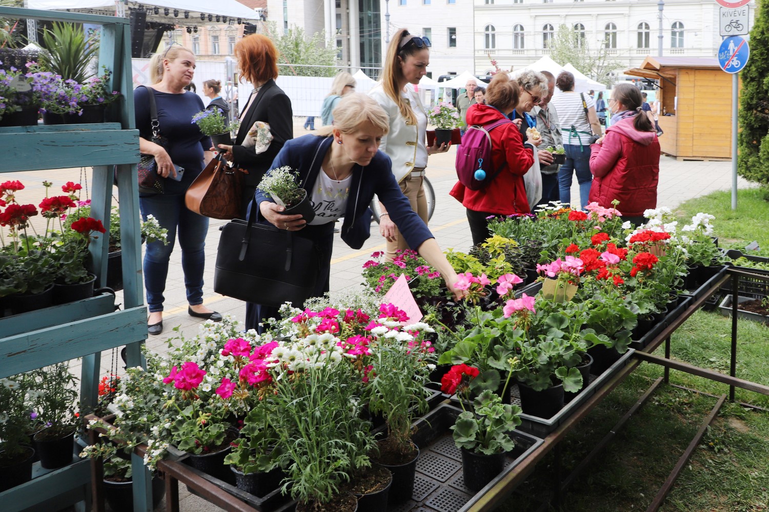 A virág- és kertkultúra lesz a középpontban a Florens kiállításon ...