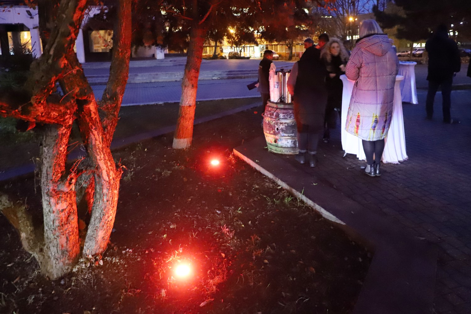 The square in front of the House of Science and Technology received decorative lighting