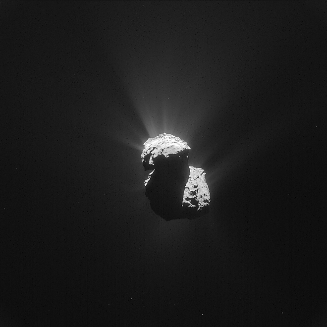 rosetta.jpg
