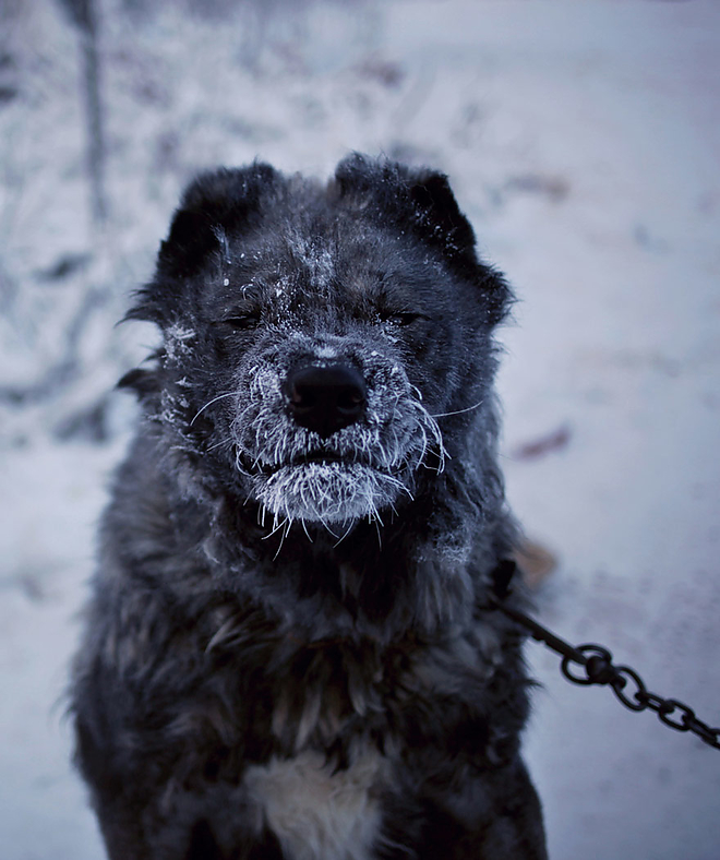 oymyakon_oroszorszag_extrem_hideg4.jpg