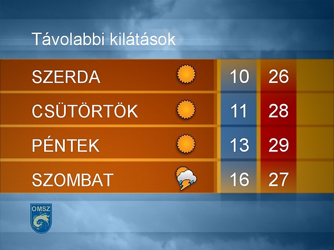 mi_tav.jpg