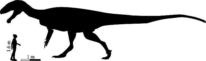 orias_dinoszaurusz.jpg