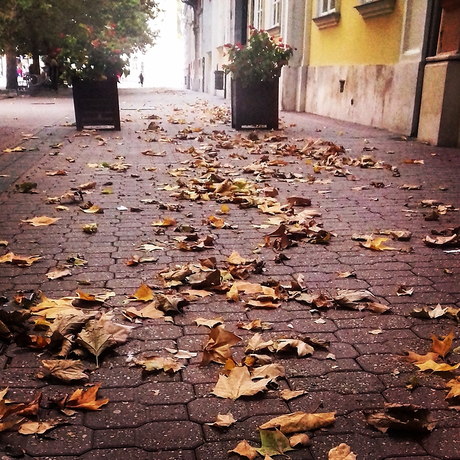 osz_miskolc.jpg