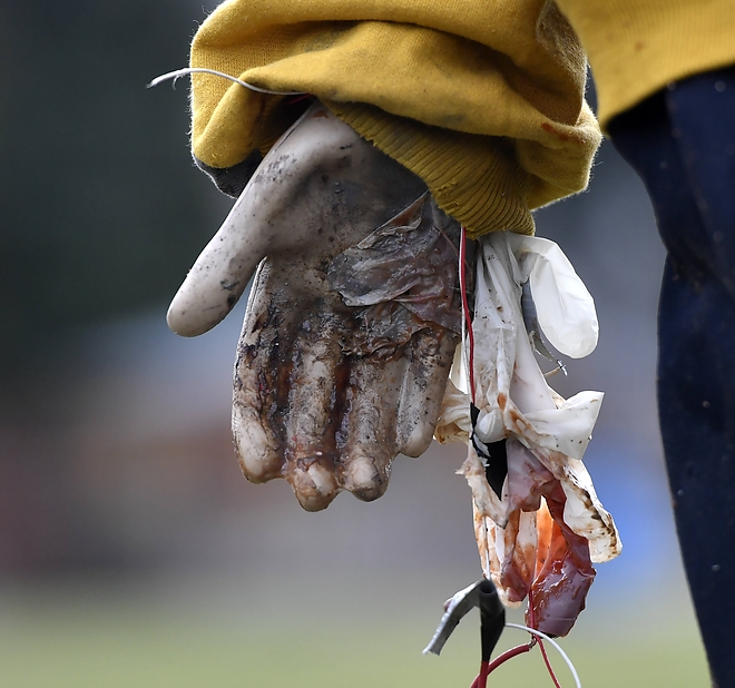 petarda2.jpg petarda2.jpg