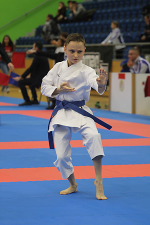 tatami_karate_kata_kicsi.jpg