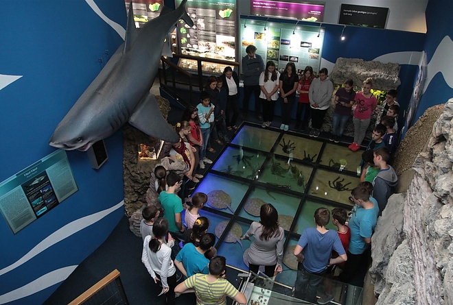 pannon_tenger_muzeum_141014_ja_2.jpg pannon_tenger_muzeum_141014_ja_2.jpg