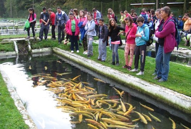 pisztrangtelep_tura_3.jpg