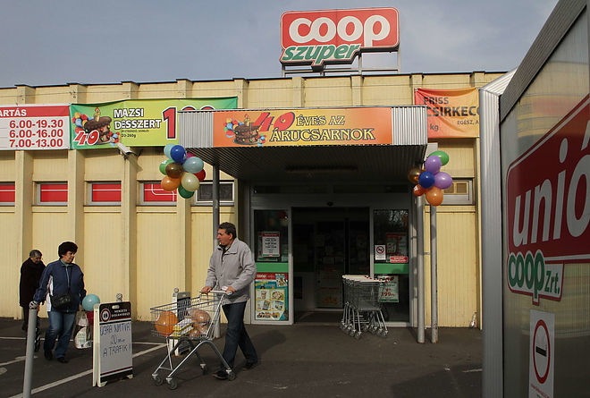 coop_arucsarnok40_141112ml_37.jpg