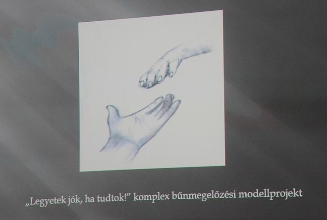 projectzaro_141209_fkcs_9.jpg projectzaro_141209_fkcs_9.jpg