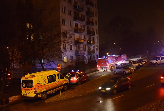 tuz_kozepszer_150118_fkcs_4.jpg tuz_kozepszer_150118_fkcs_4.jpg
