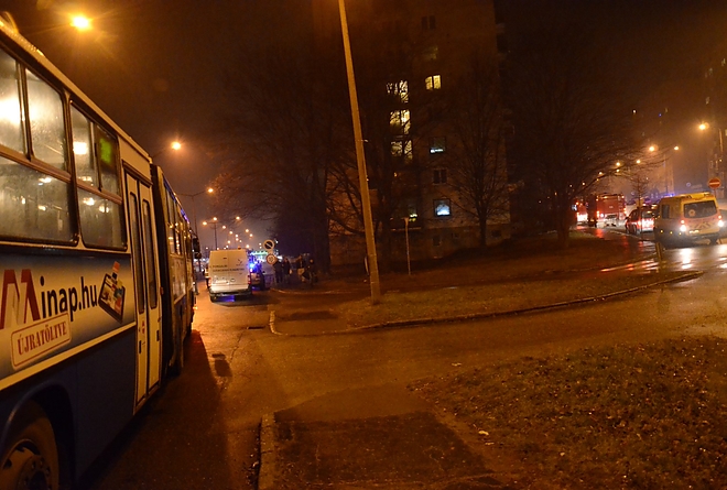 tuz_kozepszer_150118_fkcs_5.jpg tuz_kozepszer_150118_fkcs_5.jpg