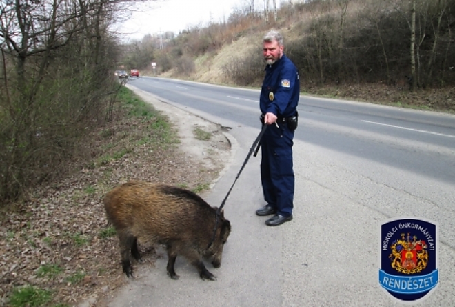 vaddiszno_mior_20150326.jpg vaddiszno_mior_20150326.jpg