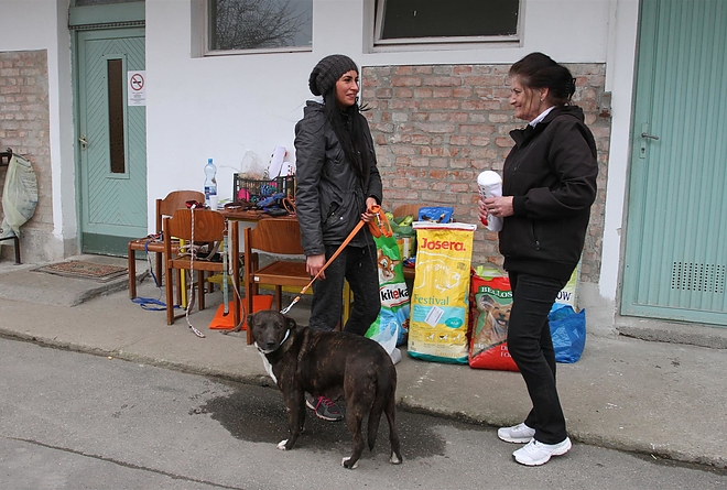 miskolci_allategeszsegugyi_telep_150328_ja_8.jpg miskolci_allategeszsegugyi_telep_150328_ja_8.jpg