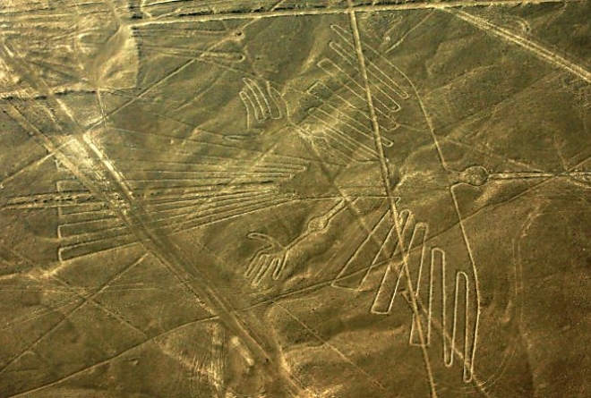 Nazca rajz