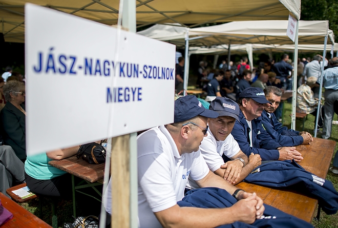 polgarornap_150620_mti_1.jpg