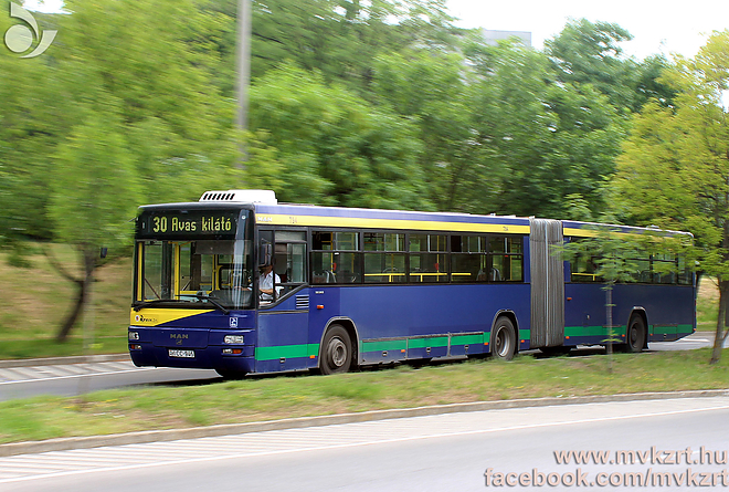 30_avason_kilato_fele_man.jpg