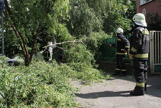 viharkarok_150709ml_8.jpg