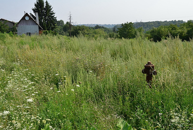 ellenorzes_vargahegy_150813_vcs_06.jpg