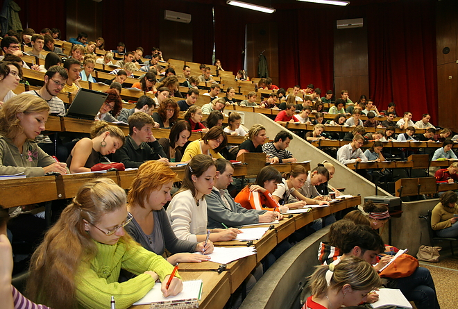 felvi6.jpg