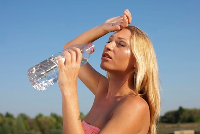hoseg_ill.jpg