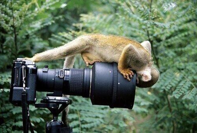 selfi3.jpg