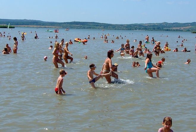 strand_1.jpg strand_1.jpg
