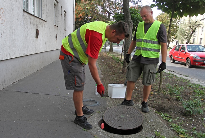 patkanyirtas_150915_ja_13.jpg patkanyirtas_150915_ja_13.jpg