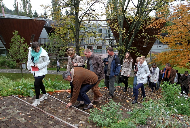 green_city_bejaras_tapolcaistrand_151015_ja_11.jpg
