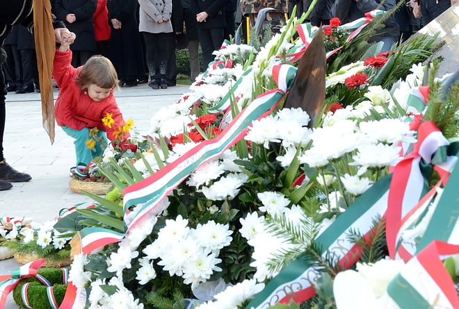 hosok_151023_fkcs_38.jpg