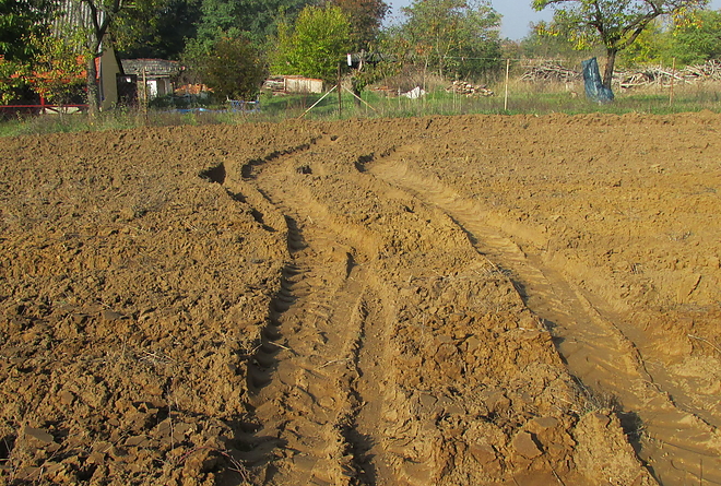illegalis_uzem_nav_151104_3.jpg illegalis_uzem_nav_151104_3.jpg