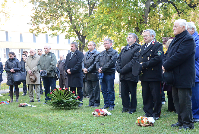 koszoruzas_151102_fkcs_4.jpg koszoruzas_151102_fkcs_4.jpg
