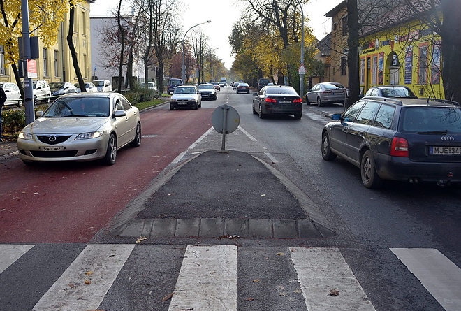 living_road_zebra_151110_vcs_01.jpg