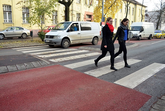 living_road_zebra_151110_vcs_08.jpg