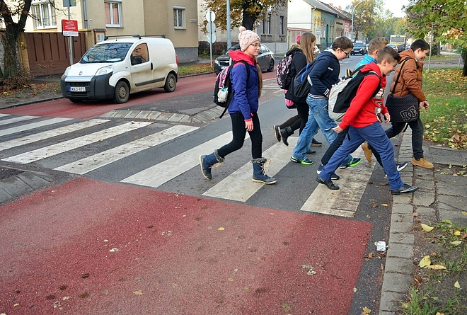 living_road_zebra_151110_vcs_13.jpg
