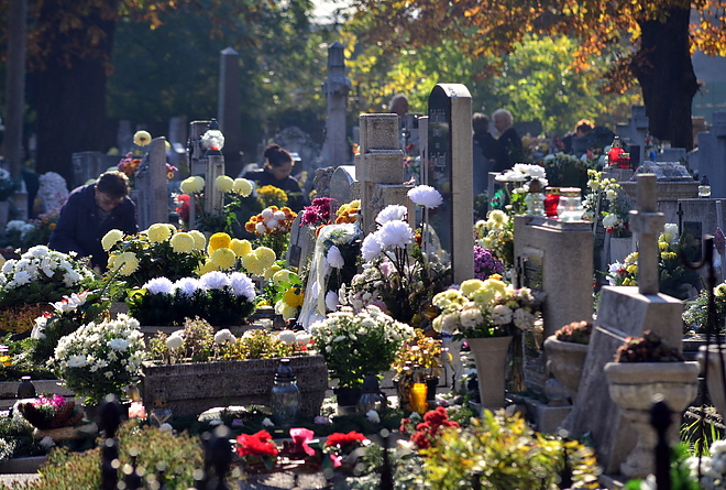 mindszenti_temeto_151101_vcs_07.jpg mindszenti_temeto_151101_vcs_07.jpg