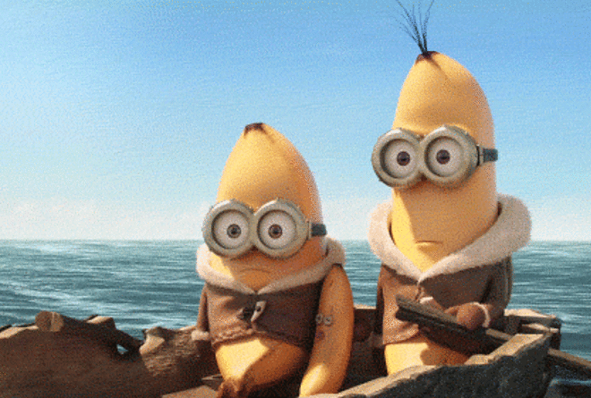 1.gif 1.gif