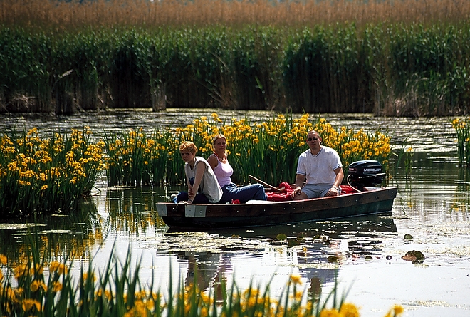 okocentrum_tiszato2.jpg