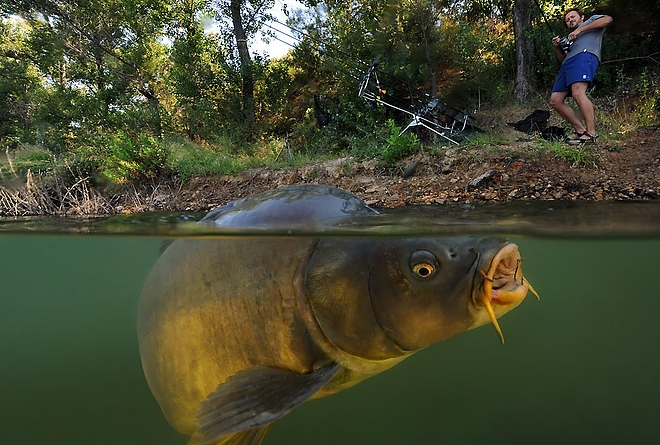 pontyok.jpg pontyok.jpg