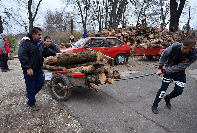 tuzifa_raszoruloknak_151208_vcs_01.jpg tuzifa_raszoruloknak_151208_vcs_01.jpg