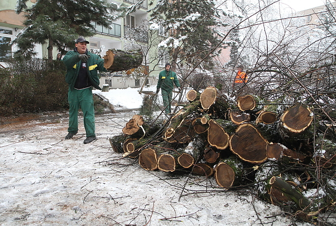 fakidoles_kassaiut_160115ml_0.jpg
