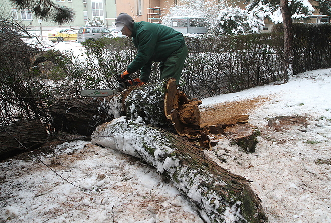 fakidoles_kassaiut_160115ml_5.jpg