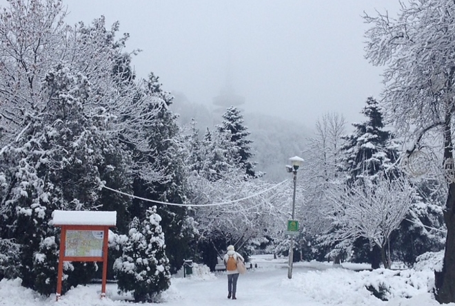 havazas_160115_ki1.jpg