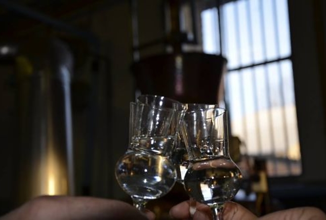 palinka_verseny_ill.jpg palinka_verseny_ill.jpg