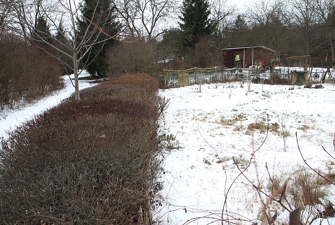 vadasz_160107ml_6.jpg