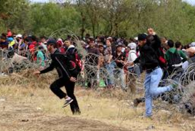 migransok.jpg migransok.jpg