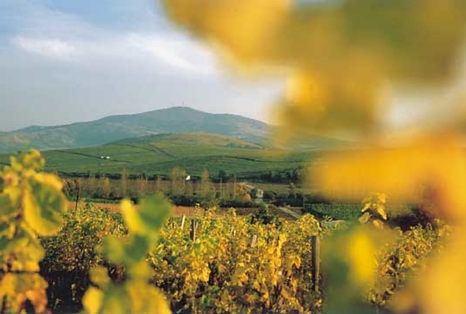 tokaj.jpg tokaj.jpg