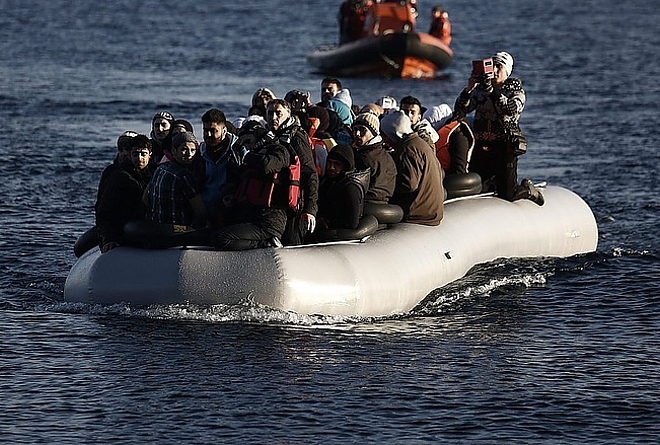 migrans.jpg