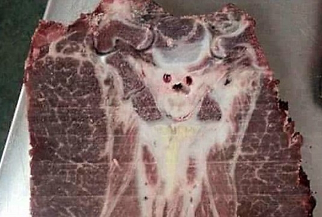 ordog.jpg ordog.jpg