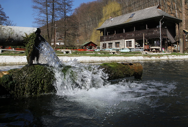 pisztrangtelep_160323ml_40.jpg