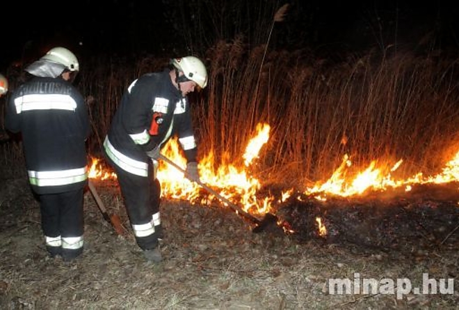 szarazfutuz.jpg szarazfutuz.jpg